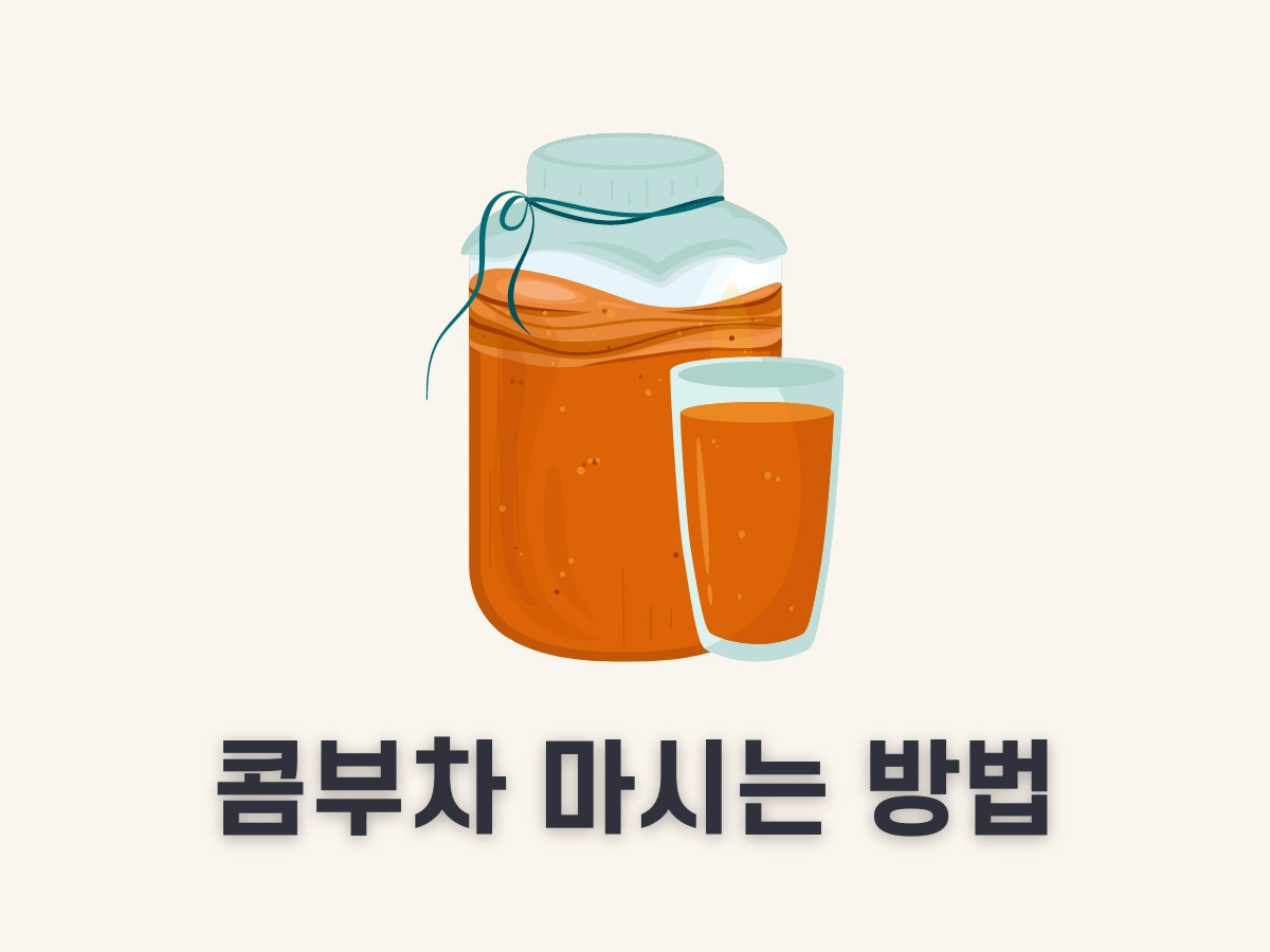 콤부차 마시는 법