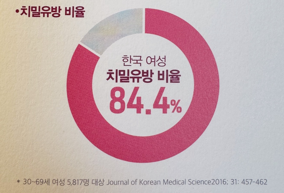 치밀유방 비율