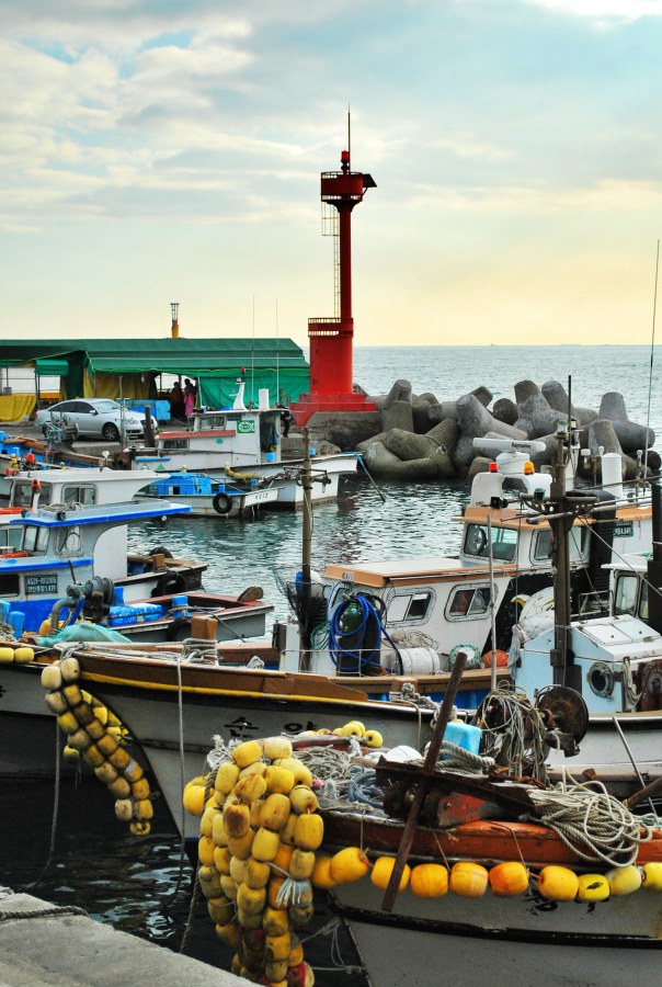 해운대 미포항 풍경