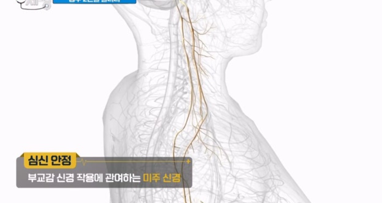 불면증에 도움되는 운동