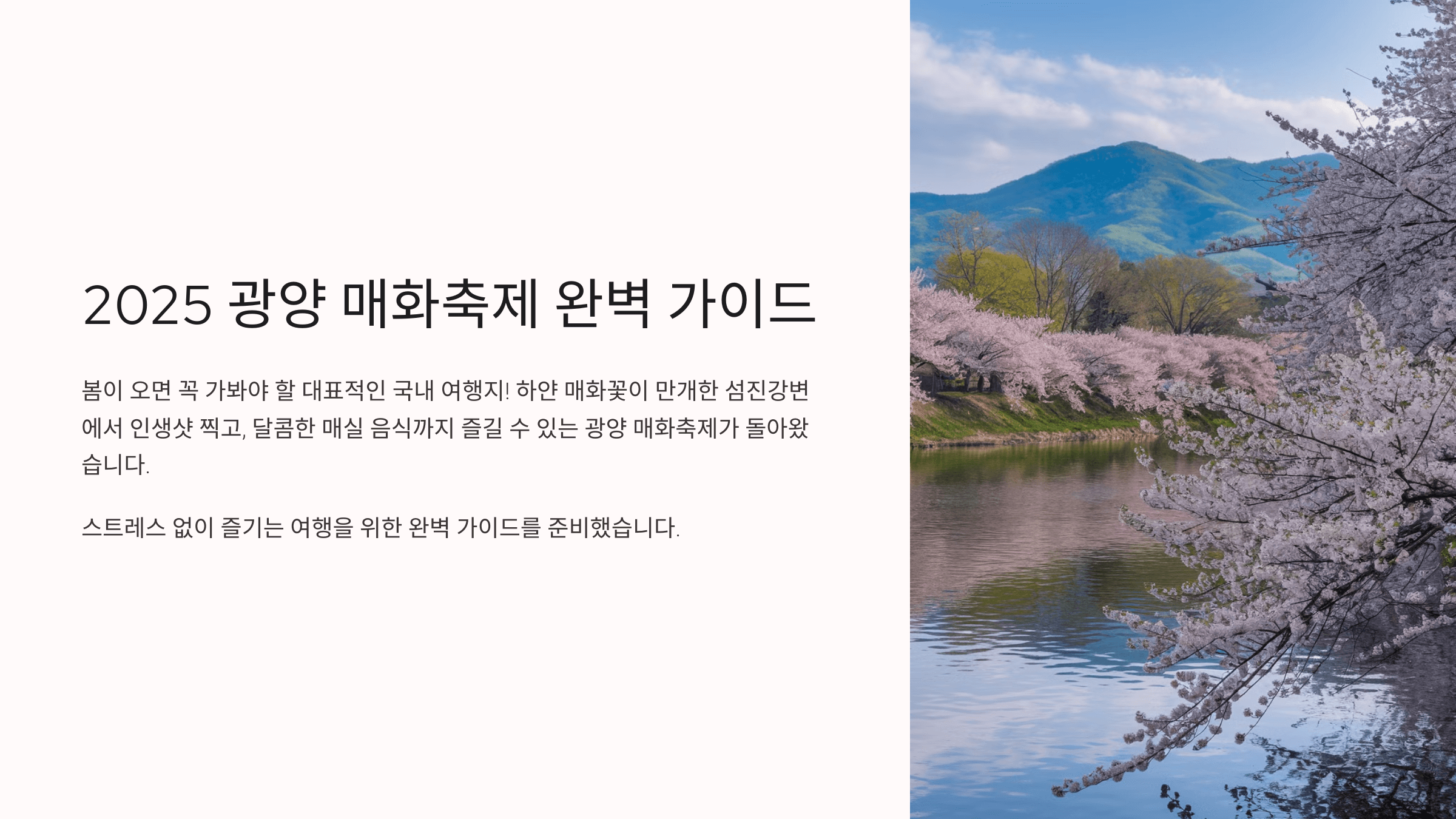 2025 광양 매화축제기간 실시간 개화시기 교통상황 & 주차 꿀팁