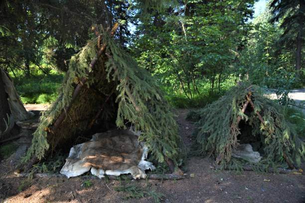 인근 자연공원·놀이터에서 가능한 방치 자원의 생존 활용