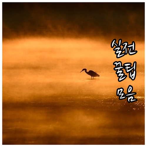 내 삶을 바꿀 2025 자립수당 50..