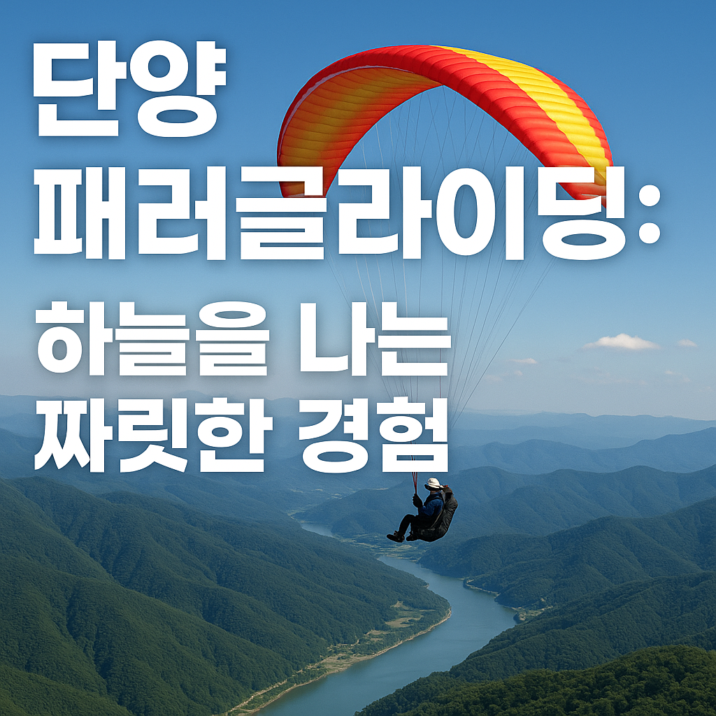 단양 패러글라이딩