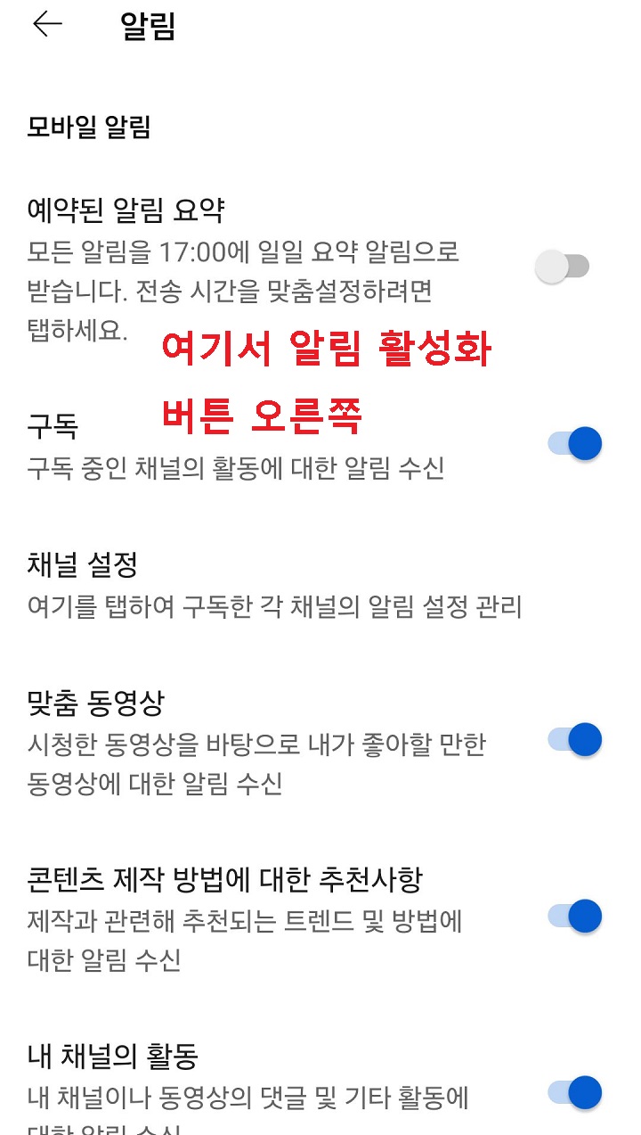 알림 설정 페이지 보임