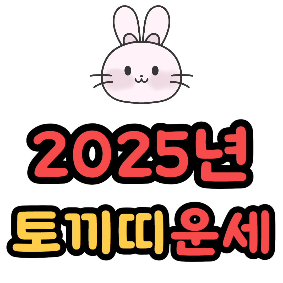 토끼띠 2025년 운세