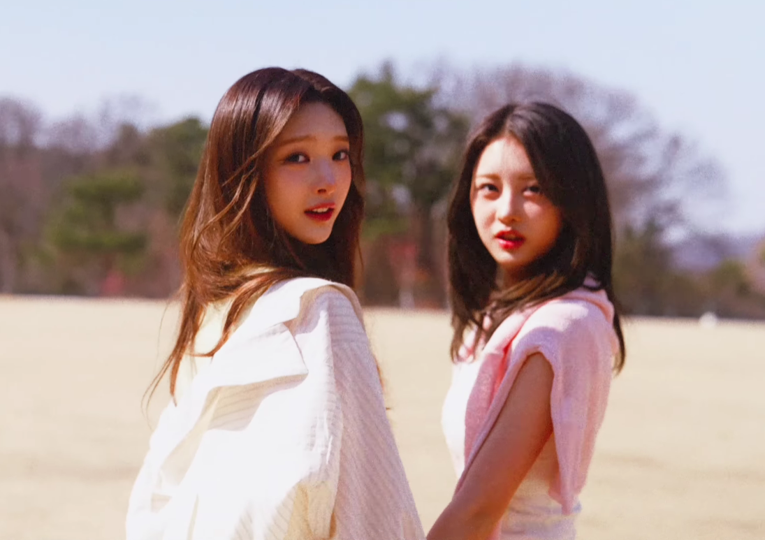 HITGS(힛지스) Cherry Blossom