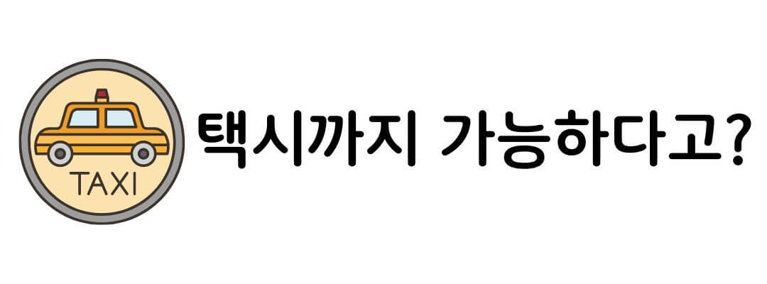 서울시 임산부 교통비 지원대상 및 잔액 조회