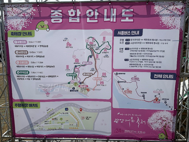 광양매화축제 기간 입장료 개화상황 프로그램 주차장 셔틀버스 25년3월8일실시간사진