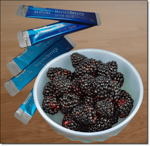 보이젠베리 베리취