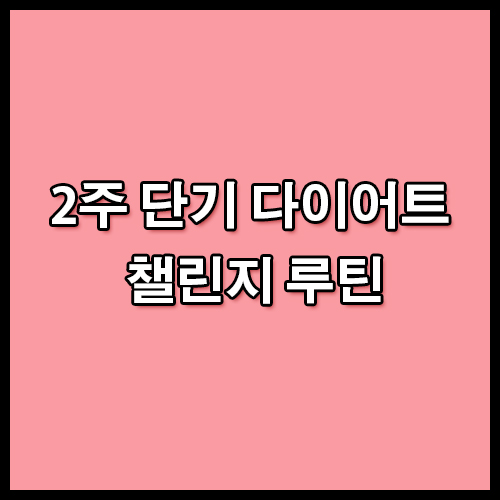 2주 단기 다이어트 챌린지 루틴