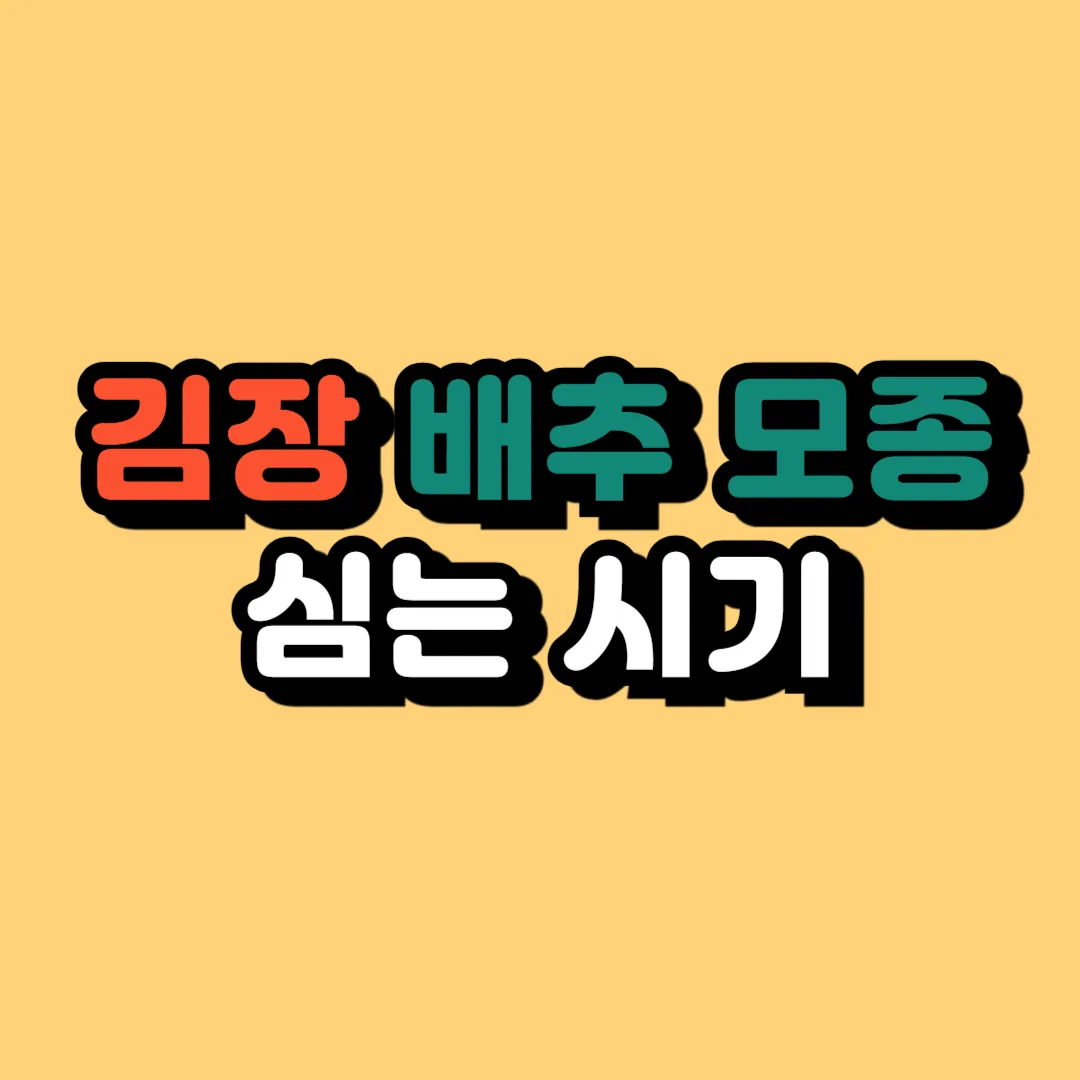 김장배추 모종 심는 시기
