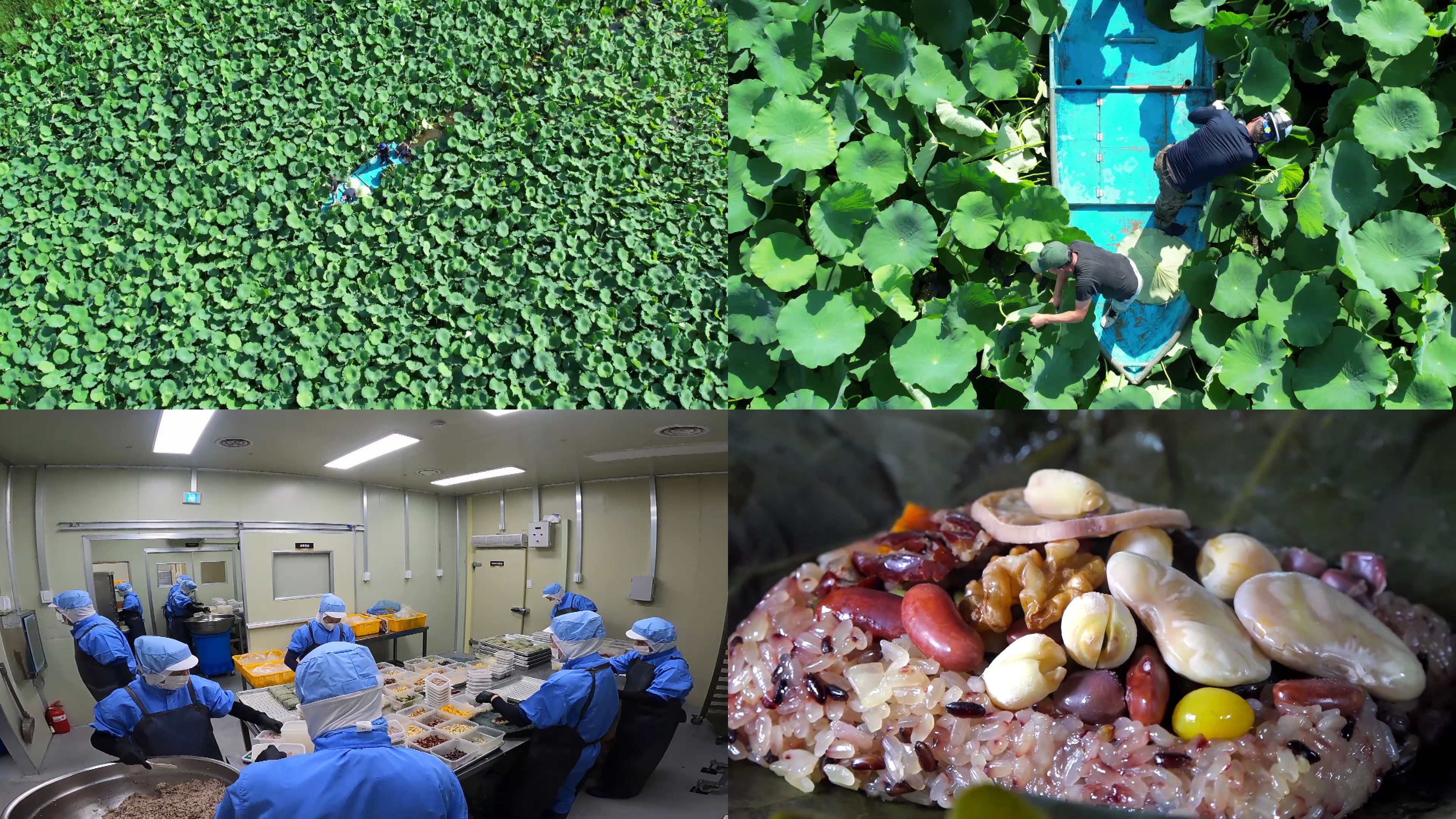 거궁푸드시스템