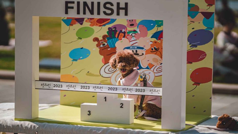 10월 경기 지역 가을 축제