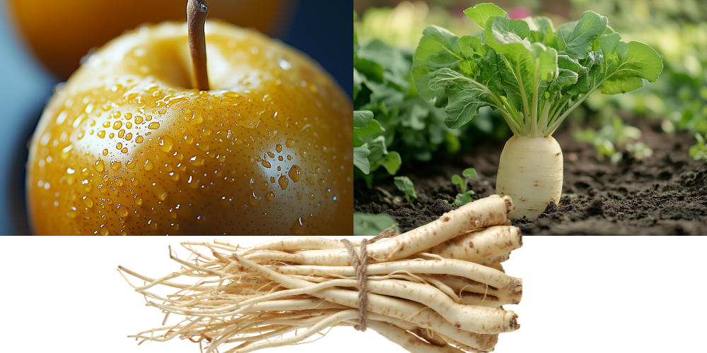 배, 무, 도라지 이미지