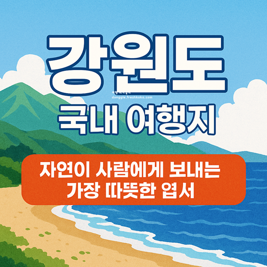 강원도 국내 여름휴가지 추천