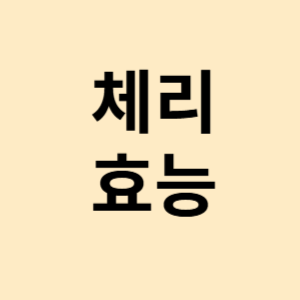 체리 효능