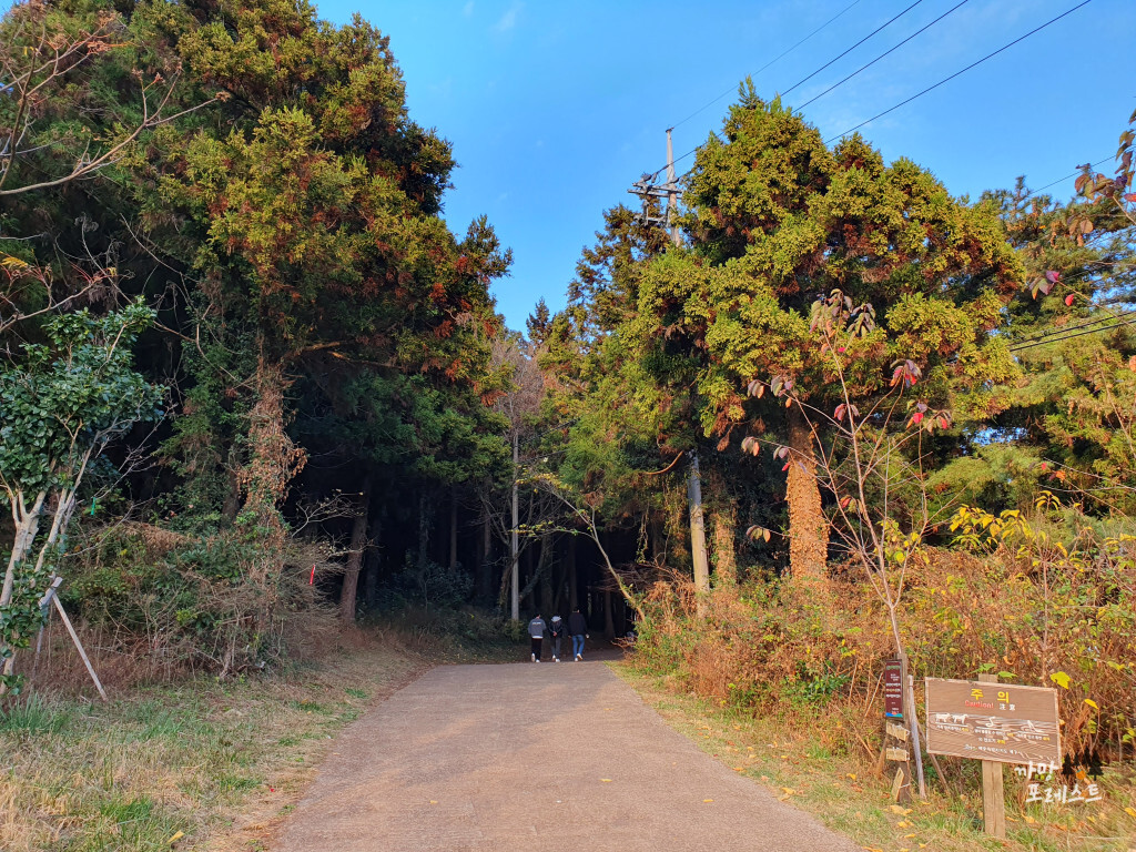 금오름 올라가는 길