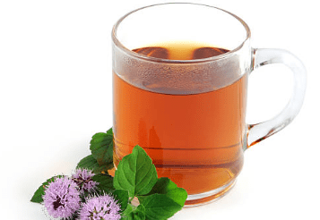 우엉차 효능 10가지 및 부작용