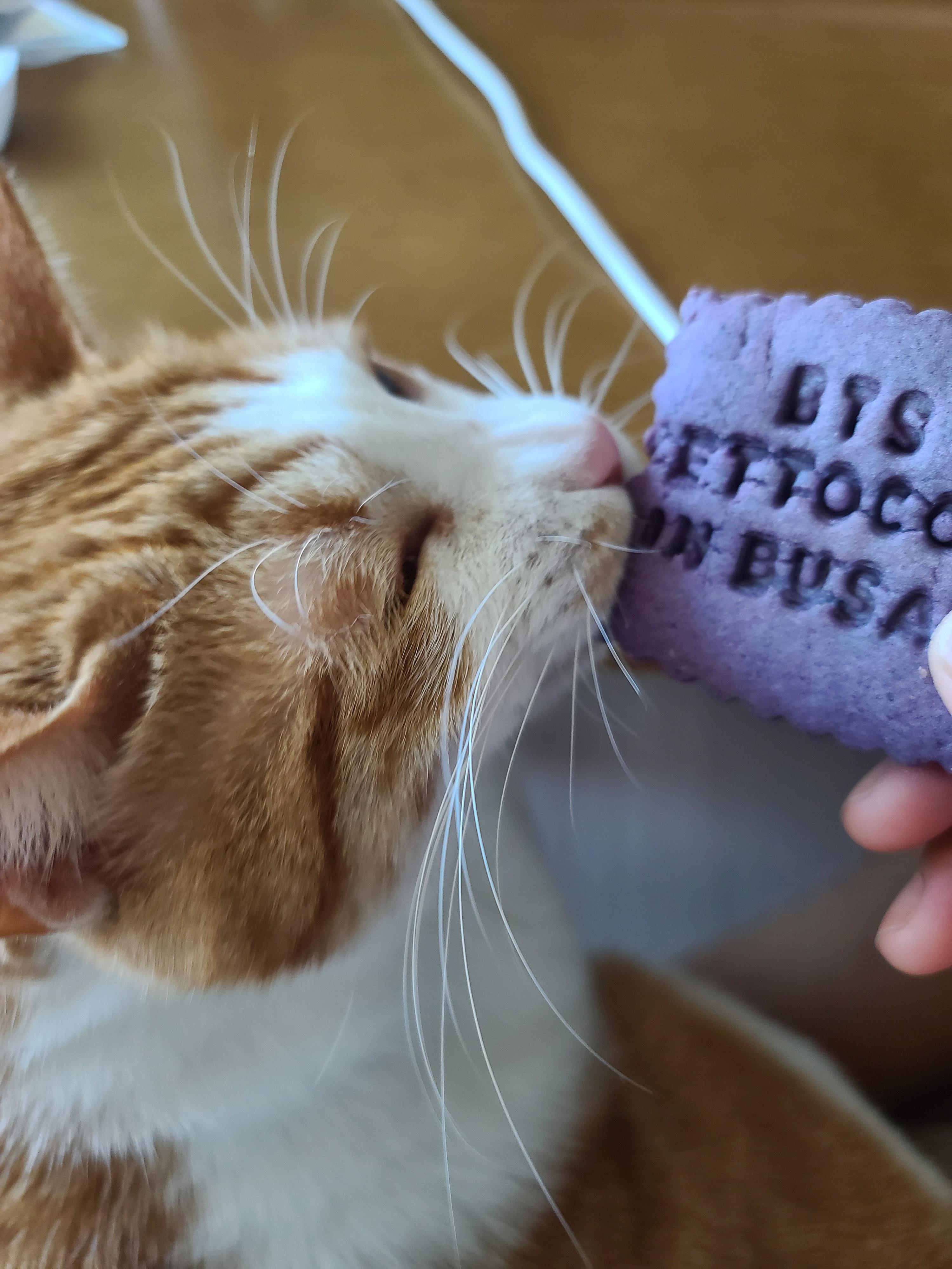 엄마손에 있는건 다 내꺼! 오랜만인 엄마랑의 오붓한 시간에 칭얼칭얼.