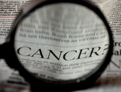 비타민d 효능 23