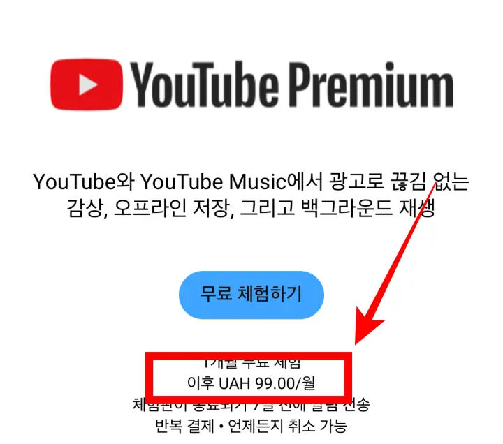 유튜브_프리미엄_우크라이나_우회