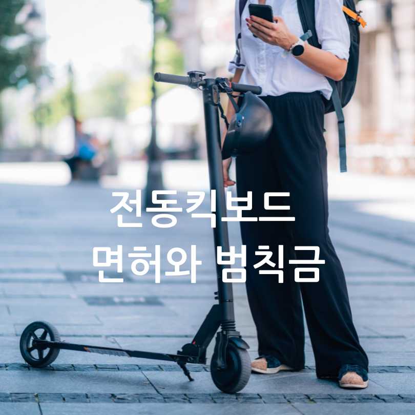 전동킥보드면허와 범칙금