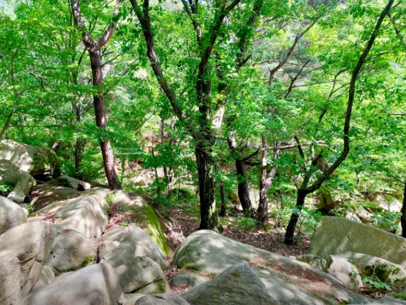 시원한 여름휴가/ 안양 삼막사 계곡으로 떠나보세요!