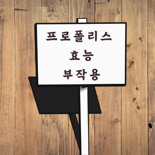 프로폴리스 효능 효과 부작용