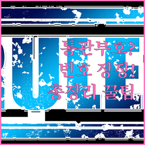 해외 직구 필수 개인통관고유부호 휴대..