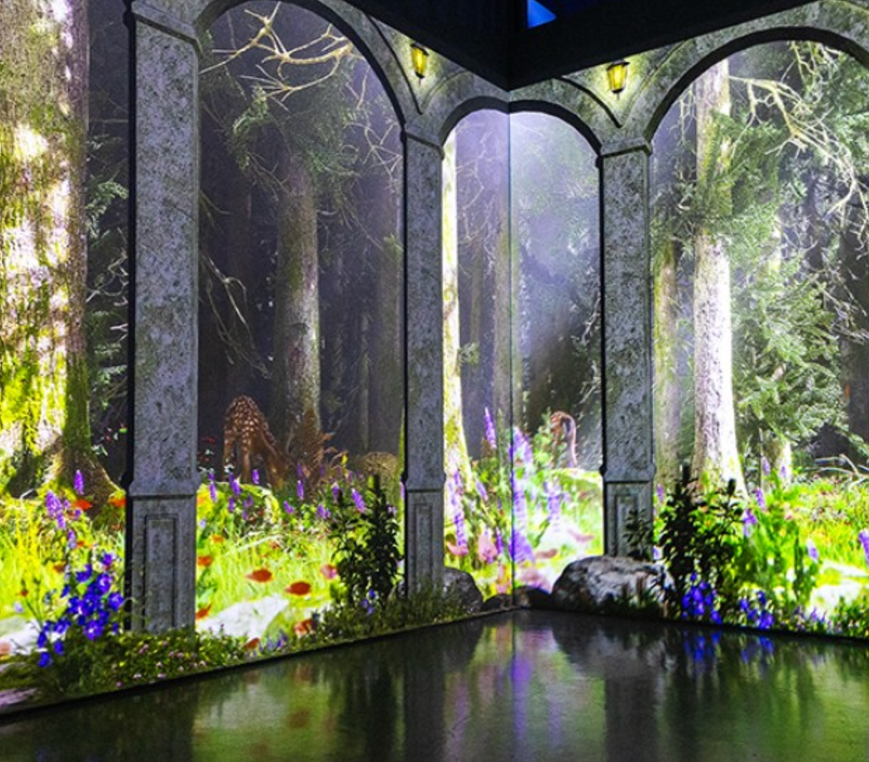 인피니티아트 빛의 산책