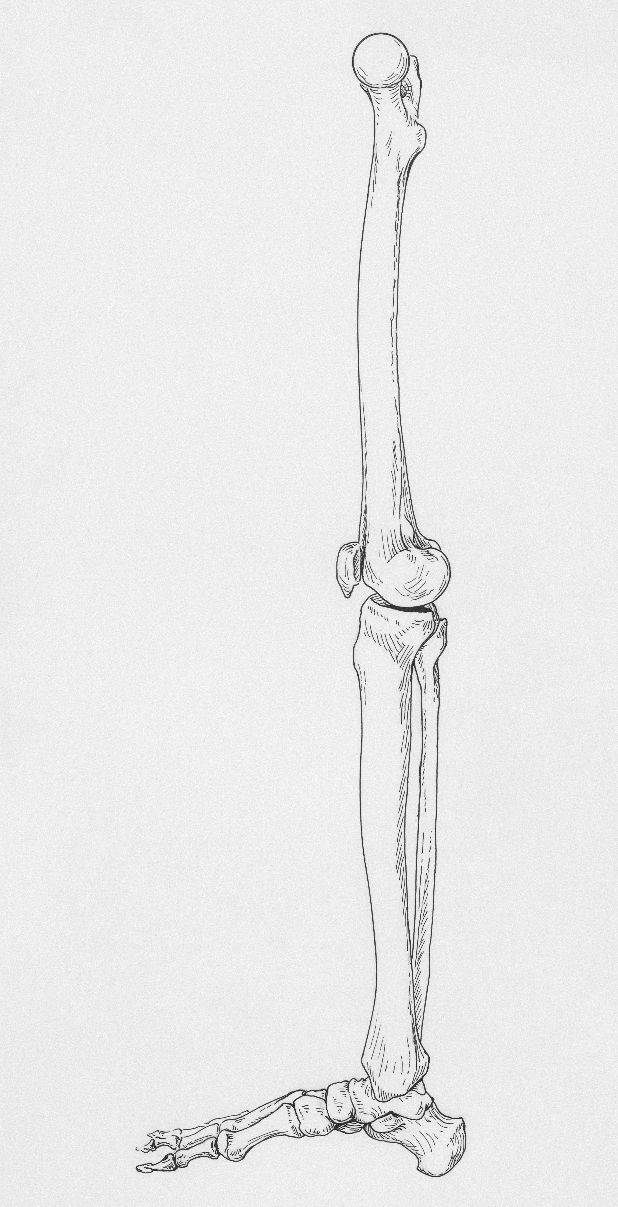 허리디스크에 좋은 운동