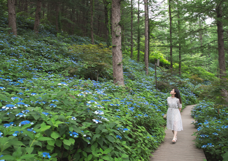 가평 놀거리 명소 액티비티 먹거리