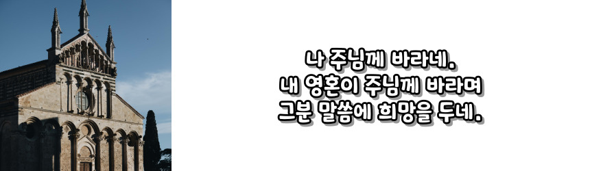천주교 위령 성월 기도문_성월 기도