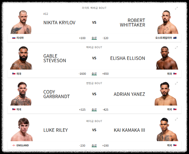 UFC 329