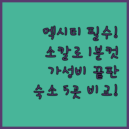 멕시코시티 가성비 호텔 추천 소칼로 ..
