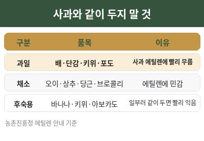 사과와 같이 두면 안 되는 과일 채소