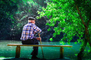 노인 숲 해설가