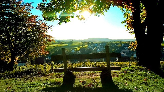 코딩 자격증 준비&amp;#44; 비전공자도 문제없어요!