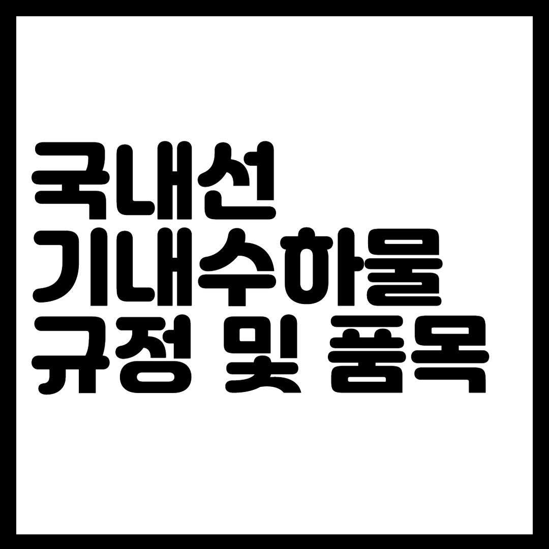 국내선 기내수하물 규정 및 품목