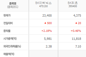 SK이터닉스 주가 전망 목표주가 배당금