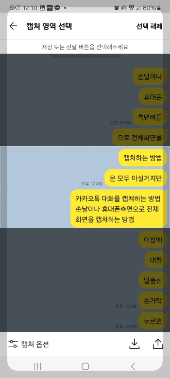 카톡 대화 내용 캡쳐