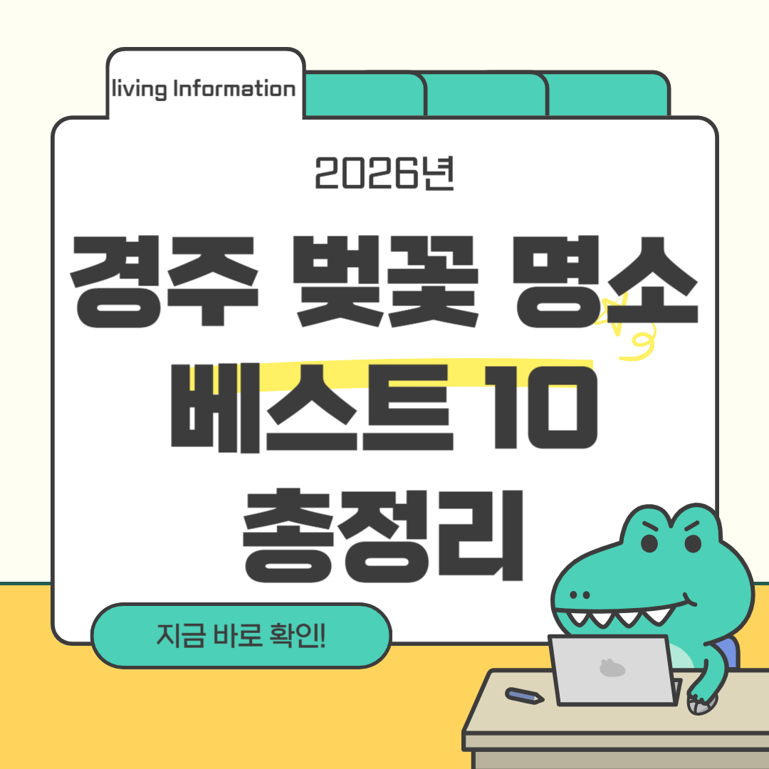 2026 경주 벚꽃 명소 베스트 10 총정리