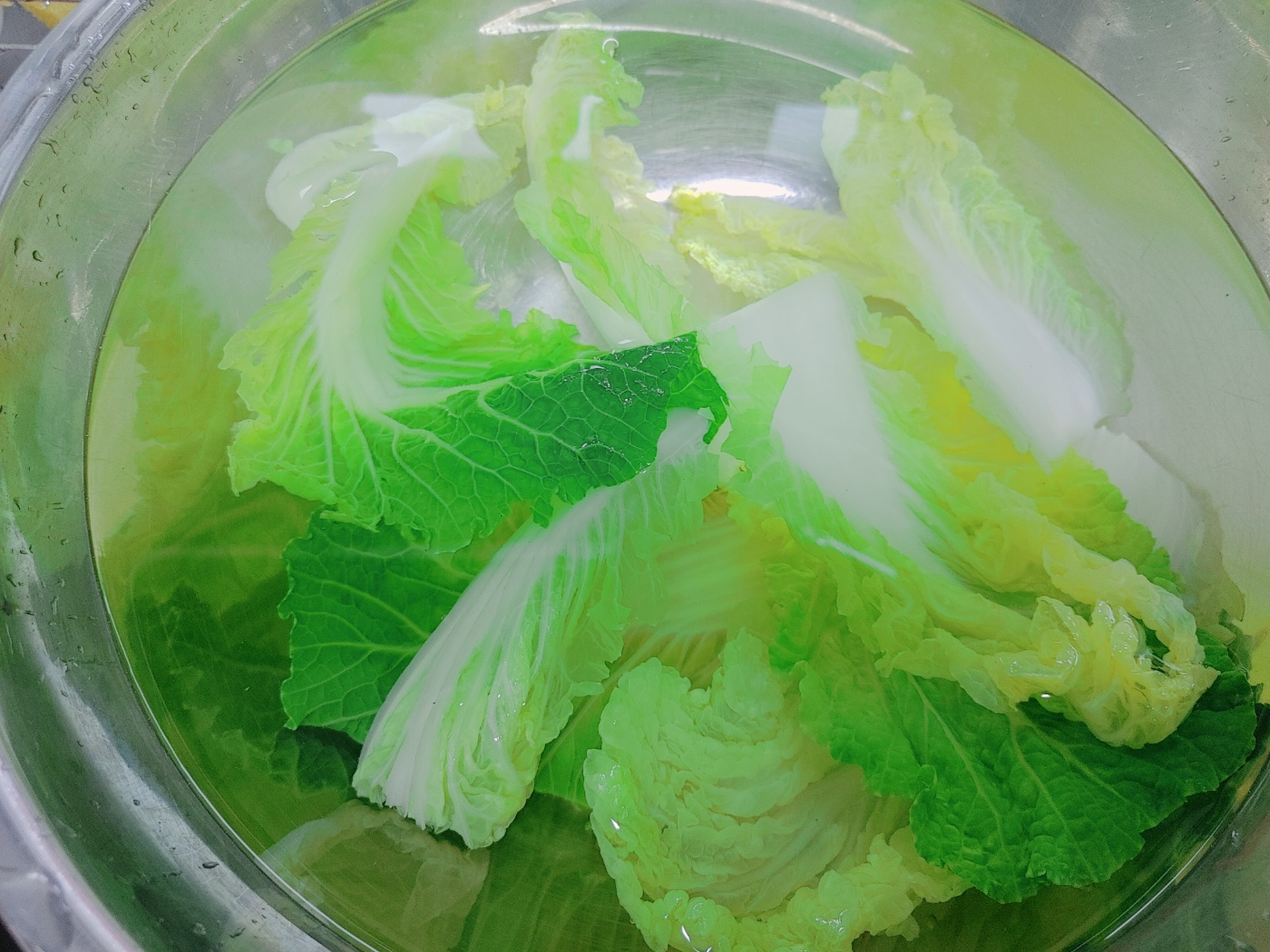 데친배추 헹구기