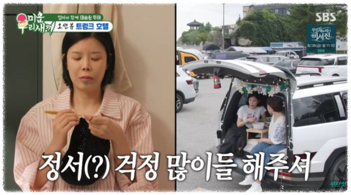 이수 린 이혼 미우새 방송