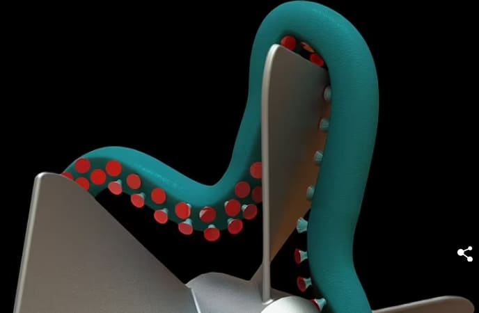 "마치 문어 같이 물에 빠진 물체 집는 장갑 개발" 버지니아 공대 VIDEO: Underwater adhesion experiment from the lab of Michael Bartlett