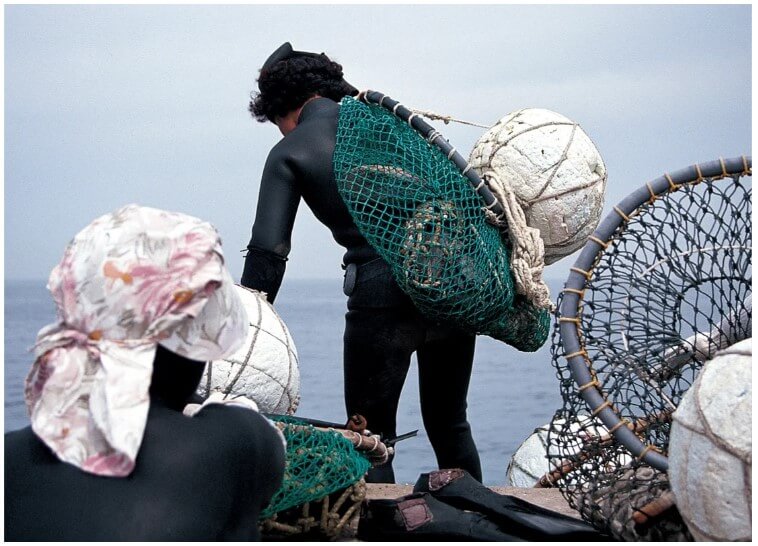 소나무 향기 펜션