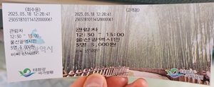 전기관람차티켓