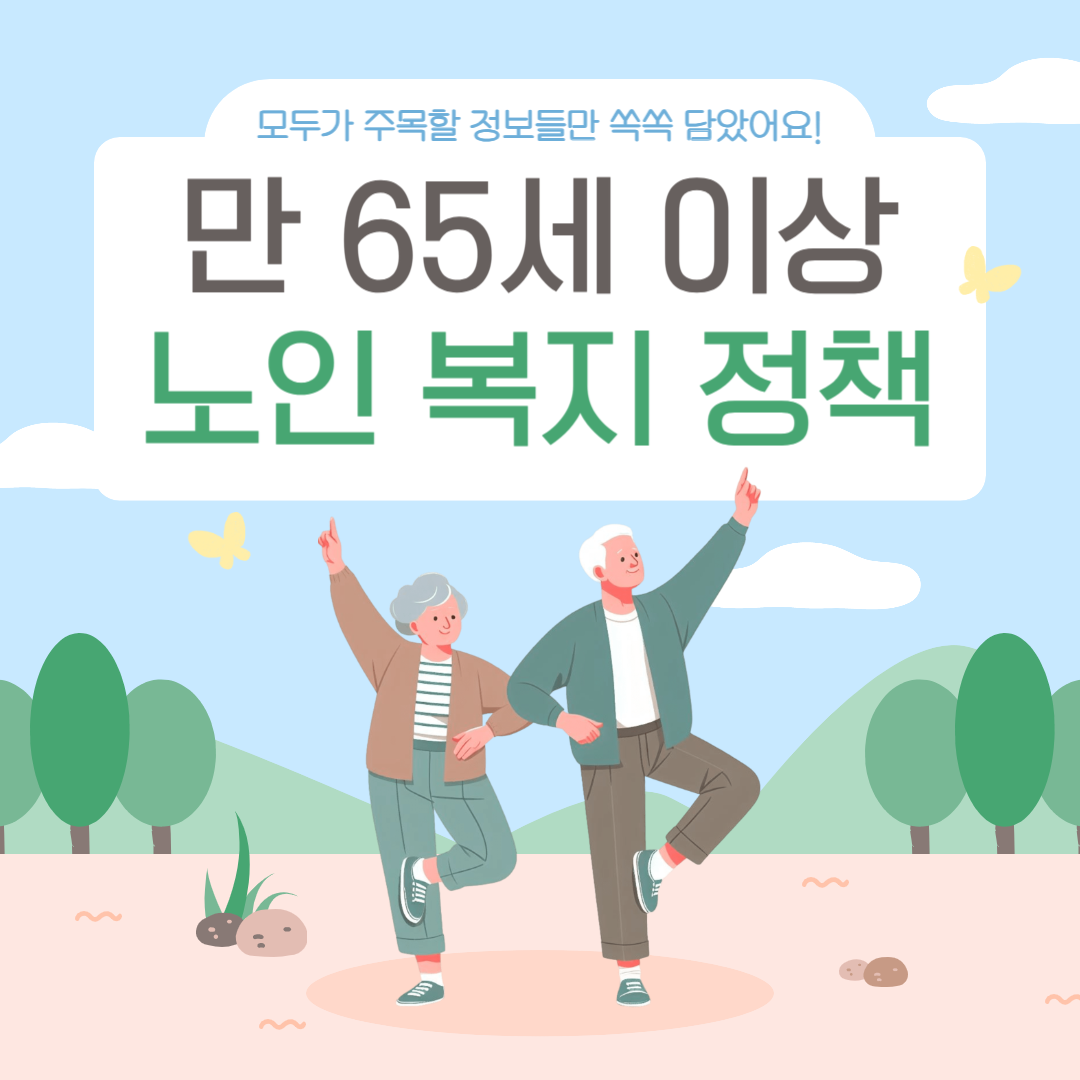 만 65세 이상 노인 복지 정책 혜택