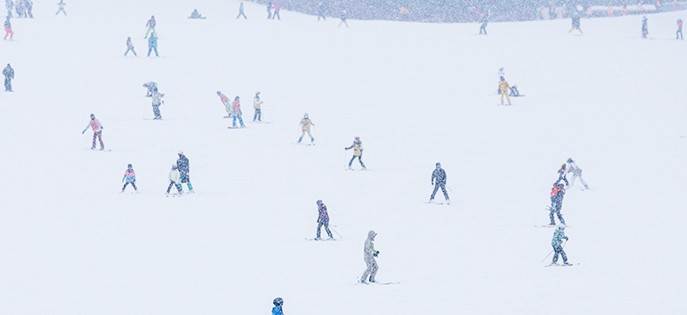 2025-2026 엘리시안 강촌 스키장 개장일 및 시즌권